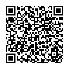QR Code for FAO The Frist 40 Years