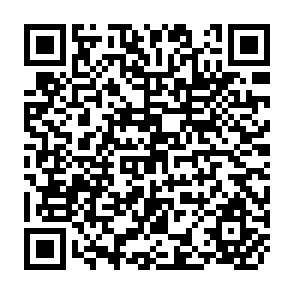 QR Code for Regionl Energy Development Programme- Energy Pricing Strategies- Volume I