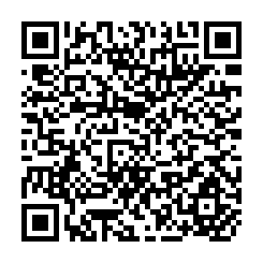 QR Code for A New Approach to Domestic Fuel Wood Conservation: Guidelines for Research
