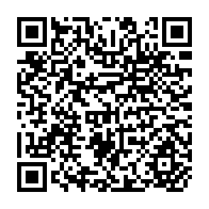 QR Code for Methodology for Studies Irrigation Water Management