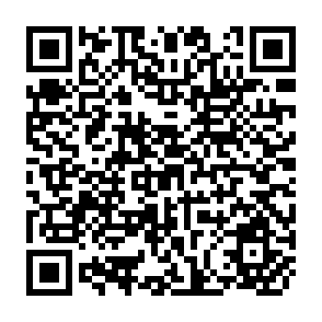 QR Code for The Impact of Food Stamps on Food Expenditures