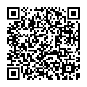 QR Code for Bureaucrats, Peasants and the Dominant Coalition: An Egyptian Case Study