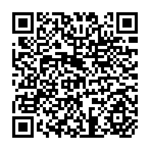 QR Code for Modelling Agricultural Development Policy: A General Equilybrium Approach