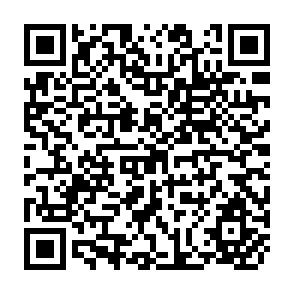 QR Code for Introduction to the Theory of Statistics