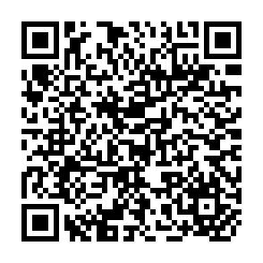 QR Code for Manual for the preparation of records in development-information systems