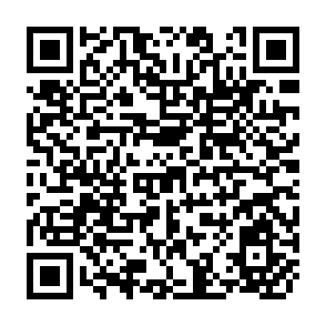 QR Code for The Writer's Craft