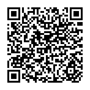 QR Code for The Practical Art of Diagnostic Interviewing