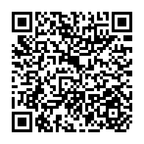 QR Code for Principles of Data Processing