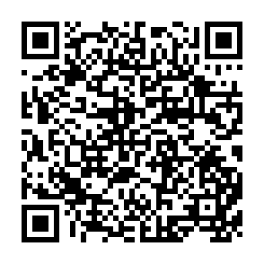 QR Code for a Study on Poverty Alleviation in Rural India Through Special Employment Creation Programmes