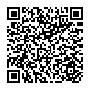 QR Code for Asian Employment Programme Working Papers
