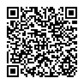 QR Code for New Venture Creation:A Guide to small business development