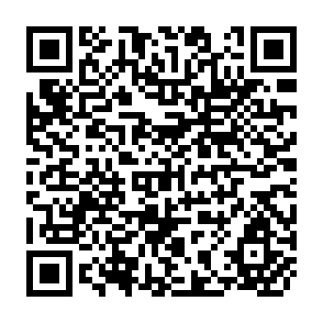 QR Code for Chinese Fertilizer Application in the 1980s and 1990s: Issues of Growth Balance, Allocation, Efficiency and Response