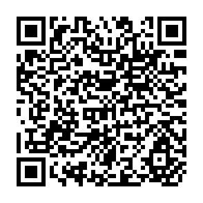 QR Code for Food Policy Research and the Policy Process in the Third World