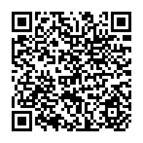 QR Code for Economic Return to Investment in Irrigation in India