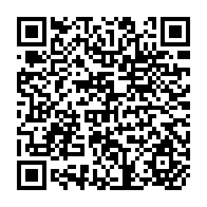 QR Code for Bureaucracies and the Political Economy of Protection Reflections of a Continental European