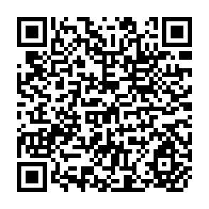 QR Code for Successes and Failures in Meeting the Management Challenge