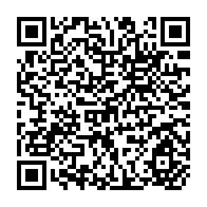 QR Code for Economic Evaluation of Investment Projects Possibilities and Problems of Applying Western Methods in China