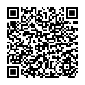 QR Code for Toward Better Urban Transport Planning in Developing Countries