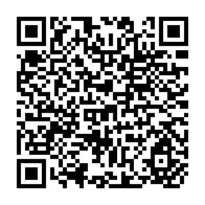QR Code for Financing State And Local Government in Brazil Recent Trends and Issues