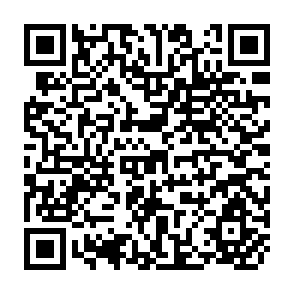 QR Code for The Influence of School Resources in Chile Their Effect on Educational Achievement and Occupational Attainment
