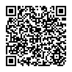 QR Code for Decentralization in Developing Countries