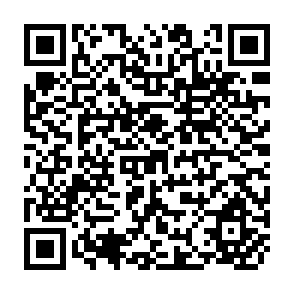 QR Code for Social Cost-Benefit Analysis: A Guide For Country And Project Economists To The Derivation And Application Of Economic And The Social Accounting Prices