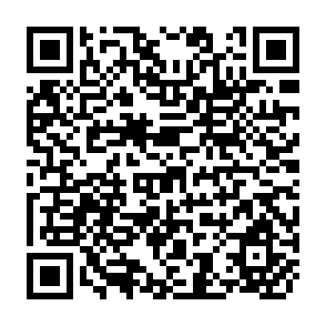 QR Code for Training for Public Administration and Management in Developing Countries