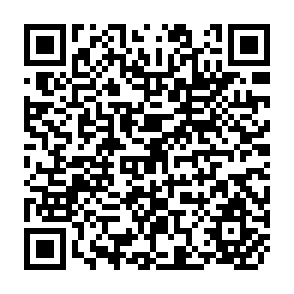 QR Code for Trade as the Engine of Growth in Developing Countries