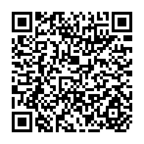 QR Code for Progressive Development and Affordability in the Design of Urban Shelter Projects