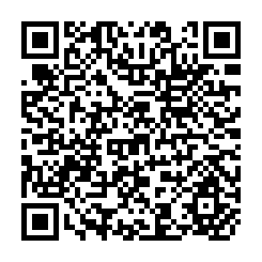 QR Code for Savings Mobilization through Social Security- The Experience of Chile during 1916-77