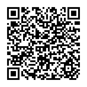 QR Code for The Political Economy of Protection in Italy Some Empirical Evidence