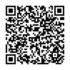 QR Code for The agricultural development experience of Algeria, Morocco, and Tunisia