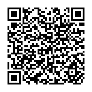 QR Code for Testing for the Direction of Exports