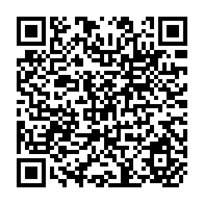 QR Code for Worldwide Investment Analysis : The Case of Aluminum
