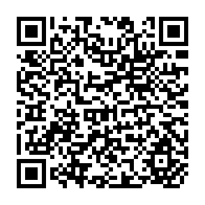 QR Code for Managing the Public Service in Developing Countries