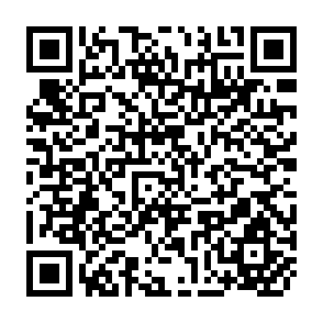 QR Code for The UNICEF Home Gardens Handbook