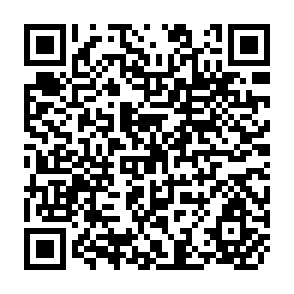 QR Code for Rapid Appraisal to Improve canal Irrigation Performance: Experience and Options