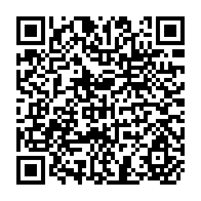 QR Code for Economic and Social Policy Synthesis Programme