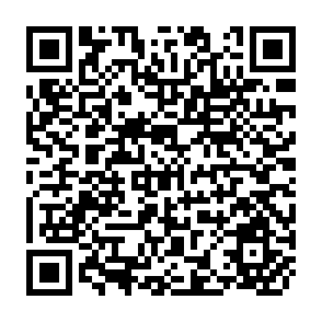QR Code for Modelling Economic and Social Factors in Development