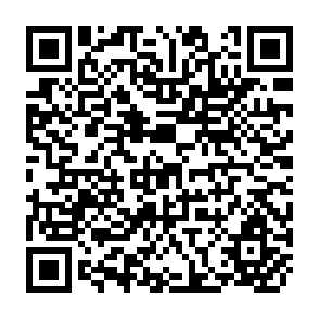 QR Code for Farmers Organization and its Viability in Pump Irrigation Systems: A Case Study in Bicol