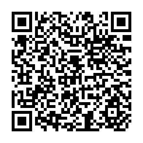 QR Code for Irrigation Organizational Structure and Effectiveness: Philippine National and Communal Systems