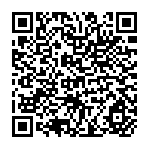 QR Code for Proceedings and Conclusions of the Thirty - First Consultative Committee Meeting