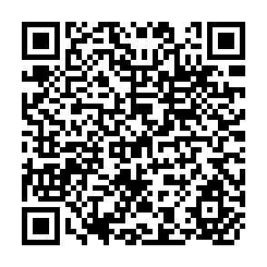 QR Code for Chinese socialism's record on food and agriculture