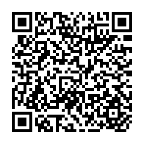QR Code for Multi-Level Information System for Integrated Rural Development Programme