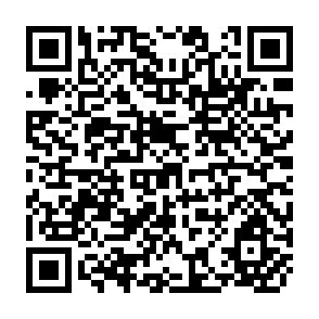 QR Code for Peasants wars of the twentieth century