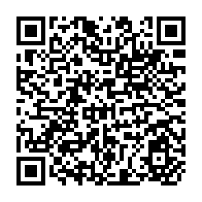 QR Code for Evaluation of agrarian reform implementation A case study of Barangay Bunga,Carranglan,Nueva Ecija