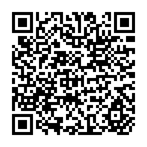 QR Code for Coordination of Grain Legumes Research in Asia