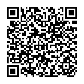 QR Code for The effects of trade and exchange rate policies on agriculture in zaire