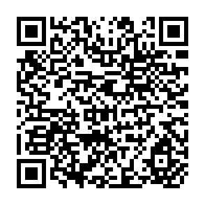 QR Code for Transforming The Rural Poor The Big Push In Action