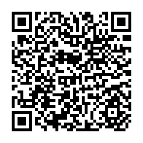 QR Code for Spicer and Pegler's Practical Auditing
